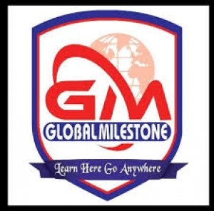Global MileStone